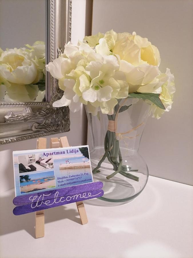 Apartman Lidija Dinjiska ภายนอก รูปภาพ