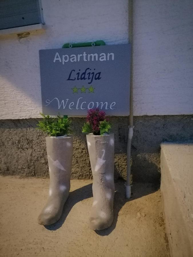 Apartman Lidija Dinjiska ภายนอก รูปภาพ